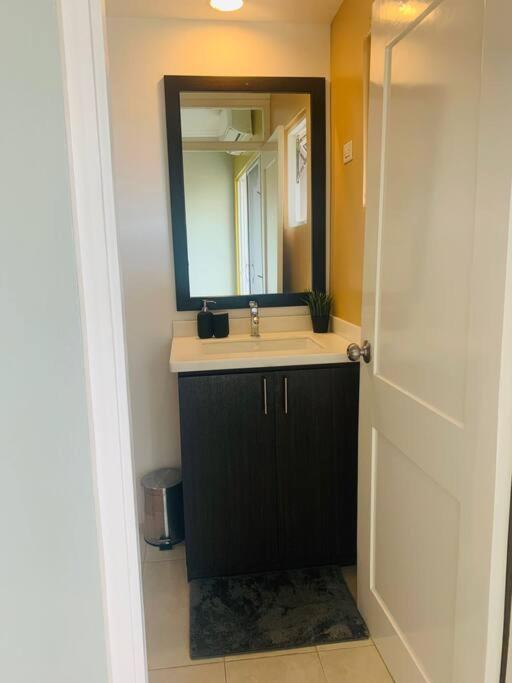 Odyssey On The 5Th - Exquisite Luxury Apt Kingston Exteriör bild